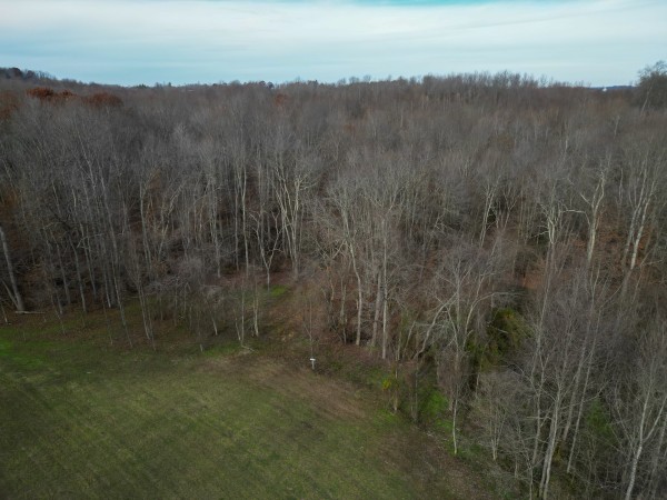 33747 Wolf Hill Rd, McArthur, OH 45651 property photo