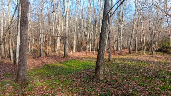 33747 Wolf Hill Rd, McArthur, OH 45651 property photo