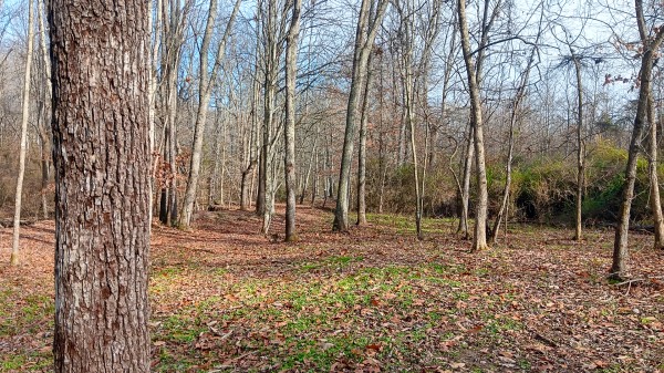 33747 Wolf Hill Rd, McArthur, OH 45651 property photo
