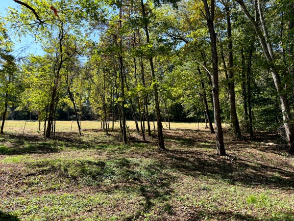 More of 33747 Wolf Hill Rd, McArthur, OH 45651