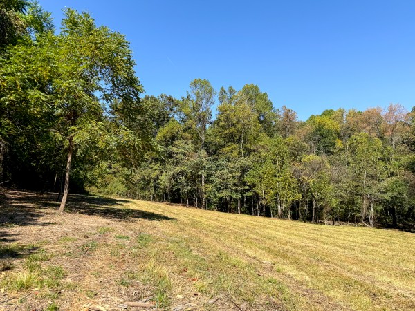 33747 Wolf Hill Rd, McArthur, OH 45651 property photo