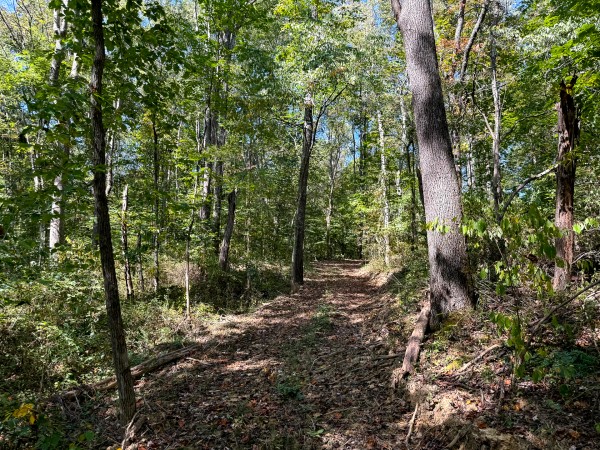 33747 Wolf Hill Rd, McArthur, OH 45651 property photo
