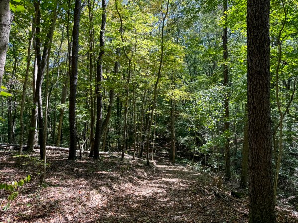 33747 Wolf Hill Rd, McArthur, OH 45651 property photo