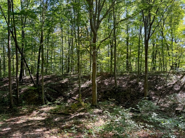 33747 Wolf Hill Rd, McArthur, OH 45651 property photo