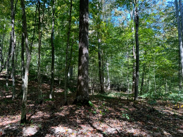 33747 Wolf Hill Rd, McArthur, OH 45651 property photo
