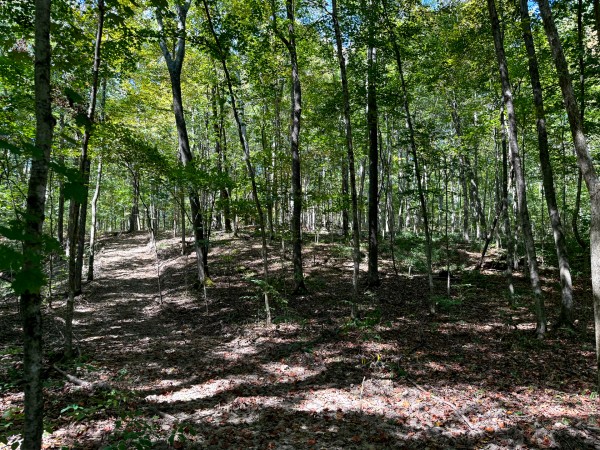 33747 Wolf Hill Rd, McArthur, OH 45651 property photo