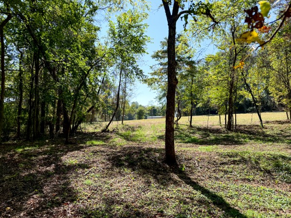 33747 Wolf Hill Rd, McArthur, OH 45651 property photo