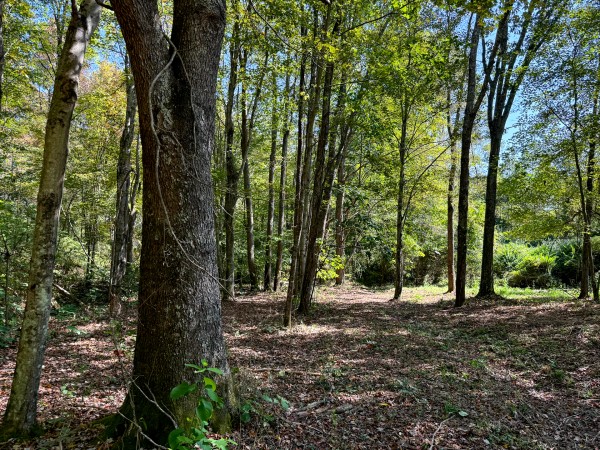 More of 33747 Wolf Hill Rd, McArthur, OH 45651
