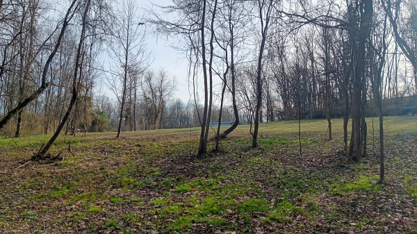 33747 Wolf Hill Rd, McArthur, OH 45651 property photo