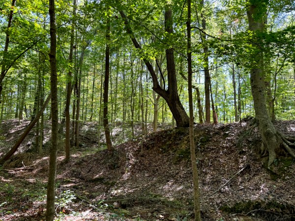 33747 Wolf Hill Rd, McArthur, OH 45651 property photo