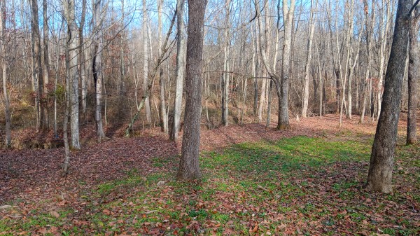 33747 Wolf Hill Rd, McArthur, OH 45651 property photo