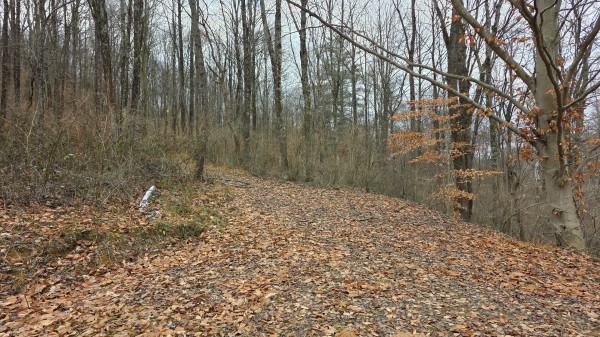 Lot 11 at Scenic Trails property photo