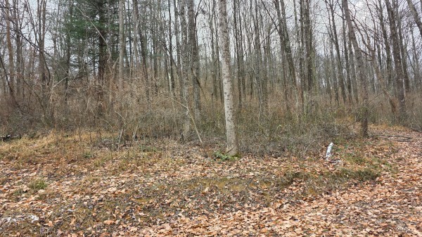 Lot 11 at Scenic Trails property photo