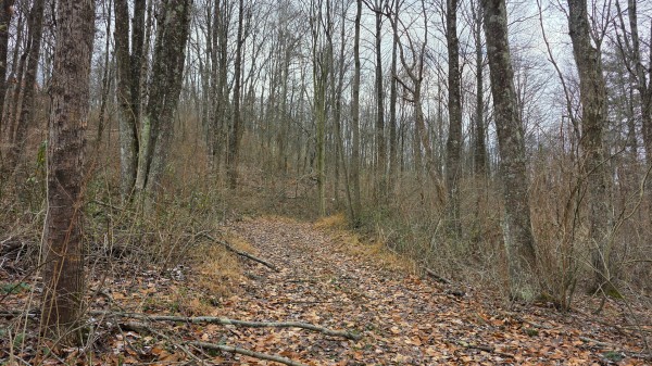 Lot 11 at Scenic Trails property photo