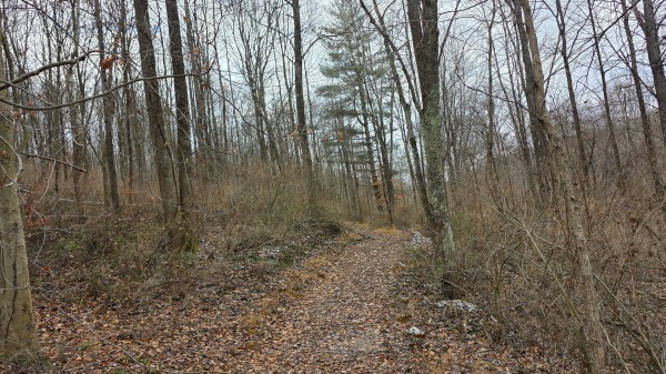Lot 11 at Scenic Trails property photo