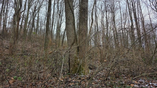 Lot 11 at Scenic Trails property photo