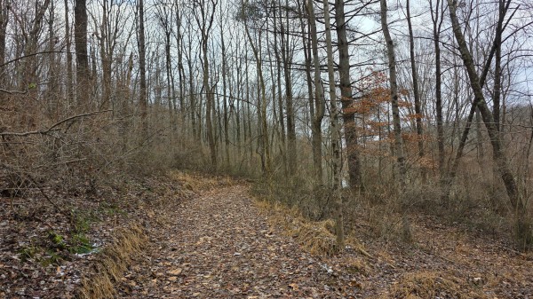 Lot 11 at Scenic Trails property photo