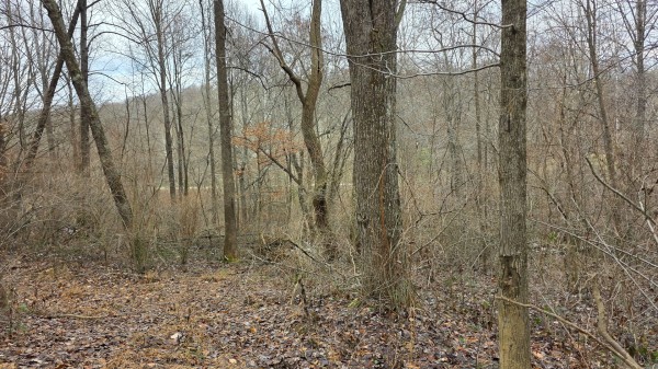 Lot 11 at Scenic Trails property photo