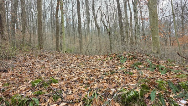 Lot 11 at Scenic Trails property photo