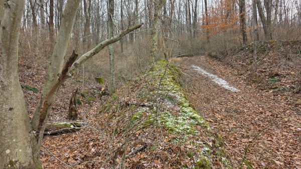 Lot 11 at Scenic Trails property photo