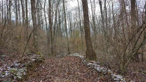 Lot 11 at Scenic Trails property photo
