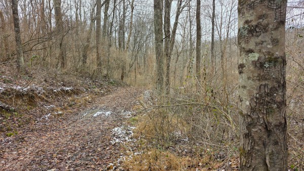 Lot 11 at Scenic Trails property photo
