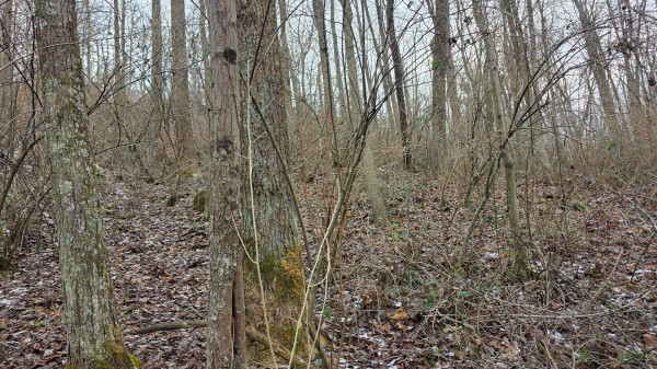 Lot 11 at Scenic Trails property photo