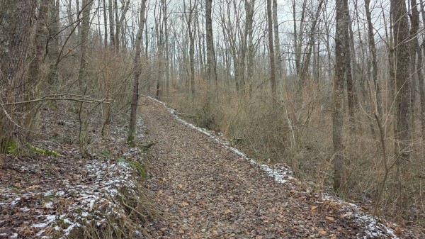 Lot 11 at Scenic Trails property photo
