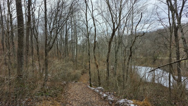 Lot 11 at Scenic Trails property photo