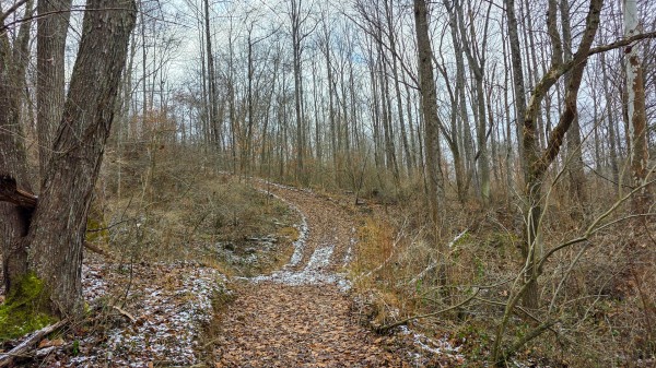 Lot 11 at Scenic Trails property photo