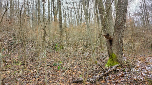 Lot 11 at Scenic Trails property photo