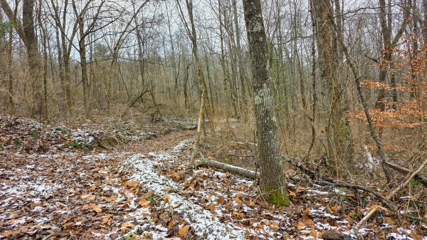 Lot 11 at Scenic Trails property photo