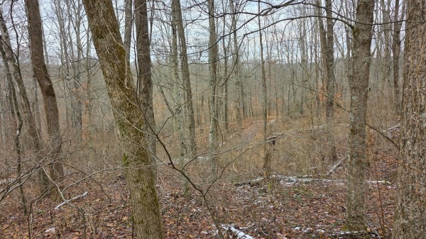 Lot 11 at Scenic Trails property photo