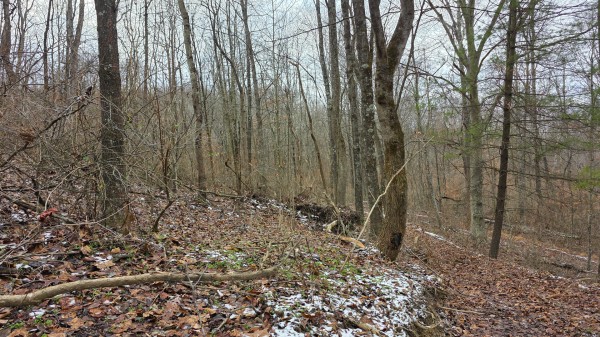 Lot 11 at Scenic Trails property photo