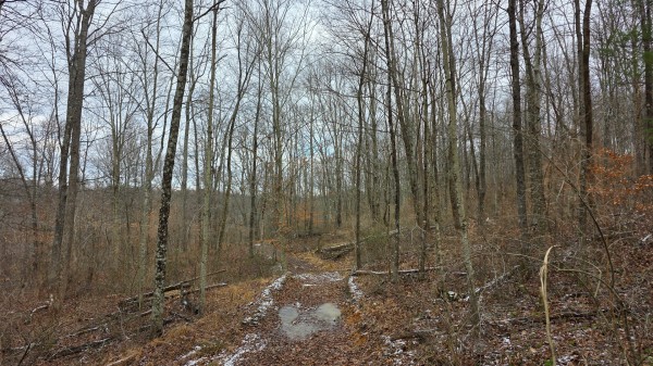 Lot 11 at Scenic Trails property photo