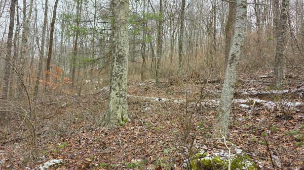 Lot 11 at Scenic Trails property photo