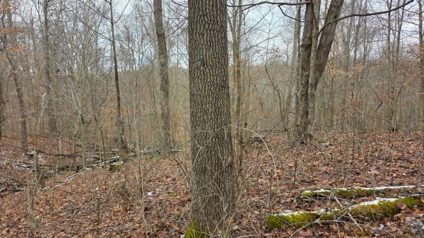 Lot 11 at Scenic Trails property photo
