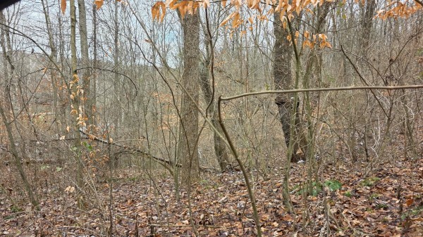 Lot 11 at Scenic Trails property photo