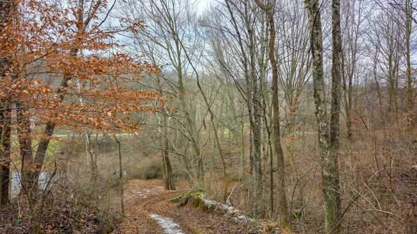 Lot 11 at Scenic Trails property photo