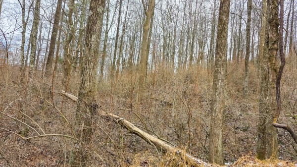 Lot 11 at Scenic Trails property photo