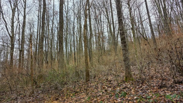 Lot 11 at Scenic Trails property photo