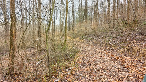 Lot 11 at Scenic Trails property photo