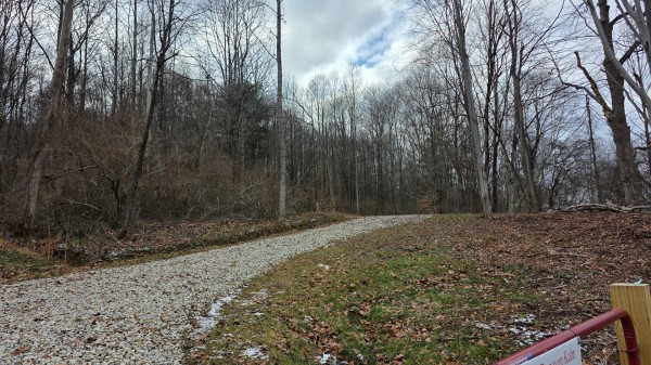 More of Lot 11 at Scenic Trails