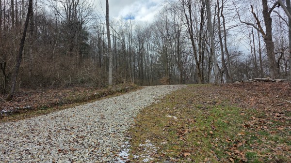 More of Lot 11 at Scenic Trails