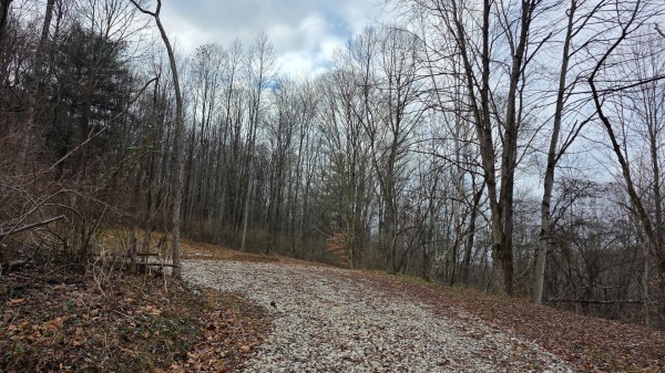 More of Lot 11 at Scenic Trails