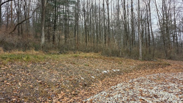 Lot 11 at Scenic Trails property photo