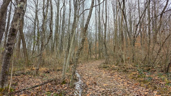 Lot 13 at Scenic Trails property photo