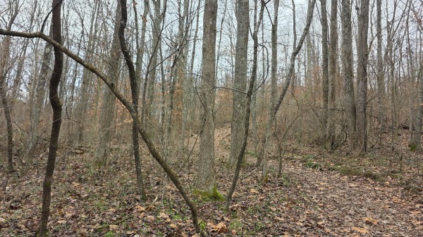 Lot 13 at Scenic Trails property photo