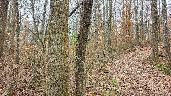 Lot 13 at Scenic Trails property photo
