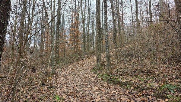 Lot 13 at Scenic Trails property photo